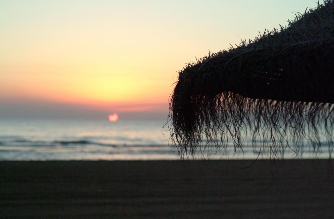 Ag Las Sirenas Playa de Gandia Exterior photo